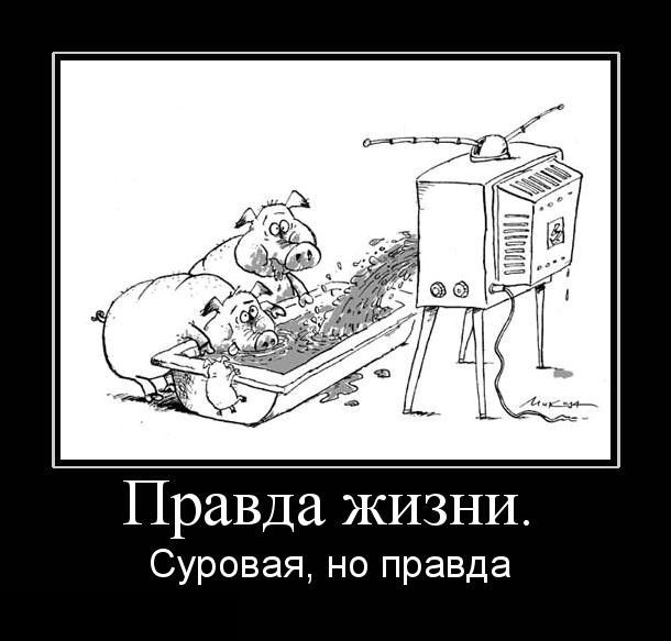 Натиснете снимката за да я уголемите

Име:demotivator-0054.jpg
Прегледи:1
Размер:45.1 КБ
ID:5388601