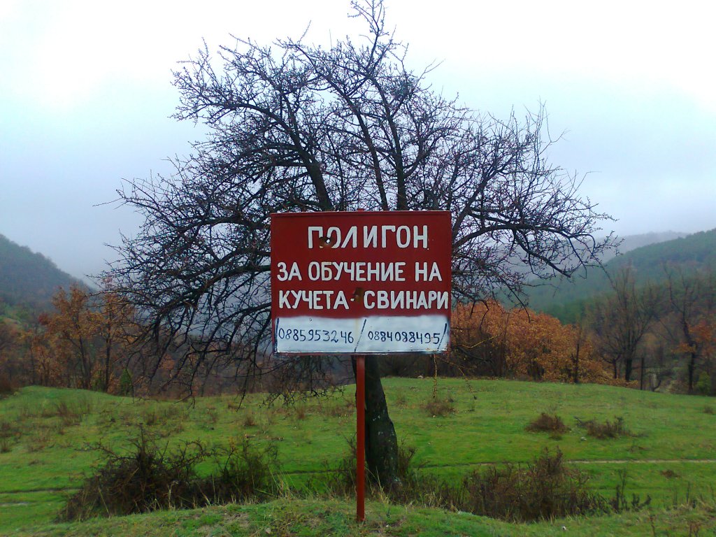 Натиснете снимката за да я уголемите

Име:Снимка0670.jpg
Прегледи:1
Размер:208.0 КБ
ID:5465751