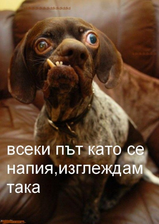 Натиснете снимката за да я уголемите

Име:524776_499946886707761_14366593_n.jpg
Прегледи:1
Размер:68.2 КБ
ID:5460045