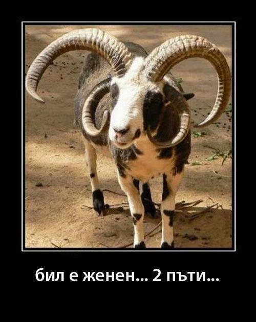 Натиснете снимката за да я уголемите

Име:1425693_780738418608822_1931039603_n.jpg
Прегледи:1
Размер:41.5 КБ
ID:5548166