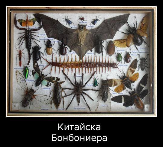 Натиснете снимката за да я уголемите

Име:1458599_780711378611526_1114718543_n.jpg
Прегледи:1
Размер:48.4 КБ
ID:5548167