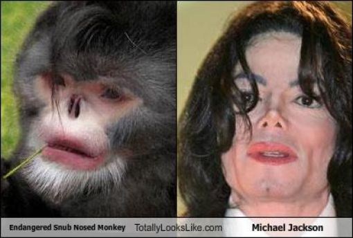 Натиснете снимката за да я уголемите

Име:Funny-Look-Alikes-Photos-15.jpg
Прегледи:1
Размер:40.6 КБ
ID:5390756