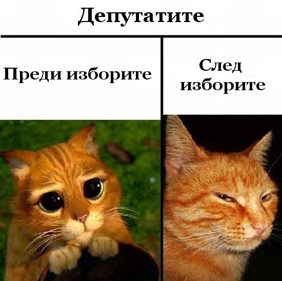 Натиснете снимката за да я уголемите

Име:390930_2930992124091_1539650119_32856310_1079257913_n.jpg
Прегледи:1
Размер:42.3 КБ
ID:5333431