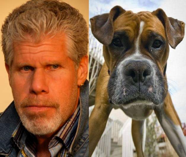 Натиснете снимката за да я уголемите

Име:funny-celebrity-look-alikes-13.jpg
Прегледи:1
Размер:43.4 КБ
ID:5390754