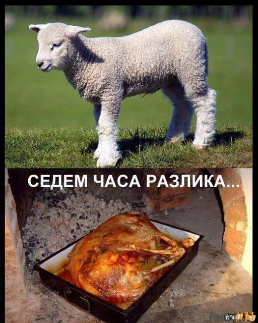 Натиснете снимката за да я уголемите

Име:untitled.png
Прегледи:2
Размер:618.5 КБ
ID:5468009