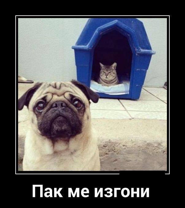 Натиснете снимката за да я уголемите

Име:16.jpg
Прегледи:1
Размер:41.5 КБ
ID:5611505