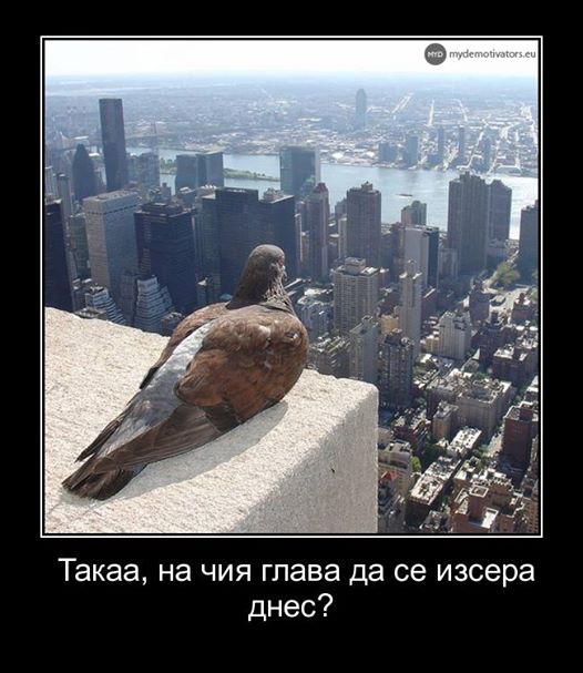 Натиснете снимката за да я уголемите

Име:30.jpg
Прегледи:1
Размер:53.9 КБ
ID:5616127