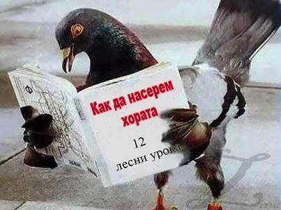Натиснете снимката за да я уголемите

Име:g.jpg
Прегледи:1
Размер:23.3 КБ
ID:5640339