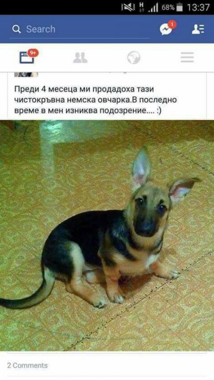 Натиснете снимката за да я уголемите

Име:17554068_10154553265013553_7265277813446889429_n.jpg
Прегледи:1
Размер:70.6 КБ
ID:5747953