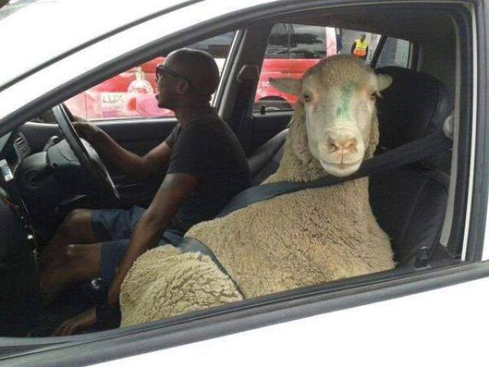 Натиснете снимката за да я уголемите

Име:acid_picdump_05.jpg
Прегледи:1
Размер:56.3 КБ
ID:5741009
