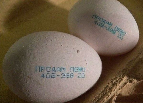 Натиснете снимката за да я уголемите

Име:12647280_1014453745284542_702429362382271641_n.jpg
Прегледи:1
Размер:34.8 КБ
ID:5700002