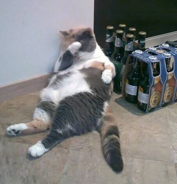 Натиснете снимката за да я уголемите

Име:acid_picdump_45.jpg
Прегледи:1
Размер:34.0 КБ
ID:5744097