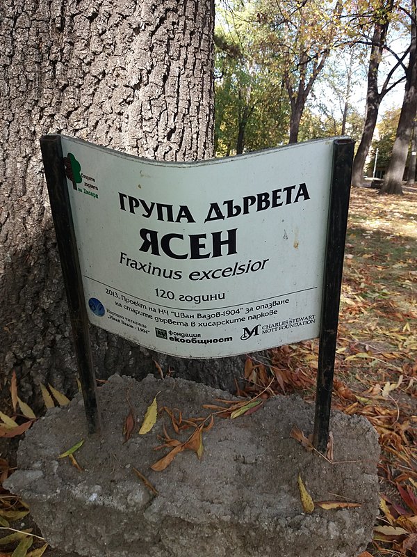Натиснете снимката за да я уголемите

Име:20191109_142255.jpg
Прегледи:151
Размер:714.7 КБ
ID:6525992