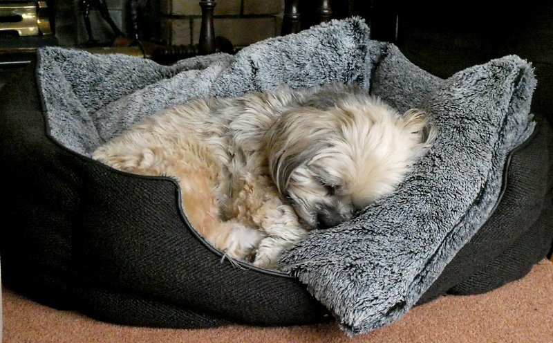 Натиснете снимката за да я уголемите

Име:1.JPG
Прегледи:367
Размер:119.3 КБ
ID:6526325