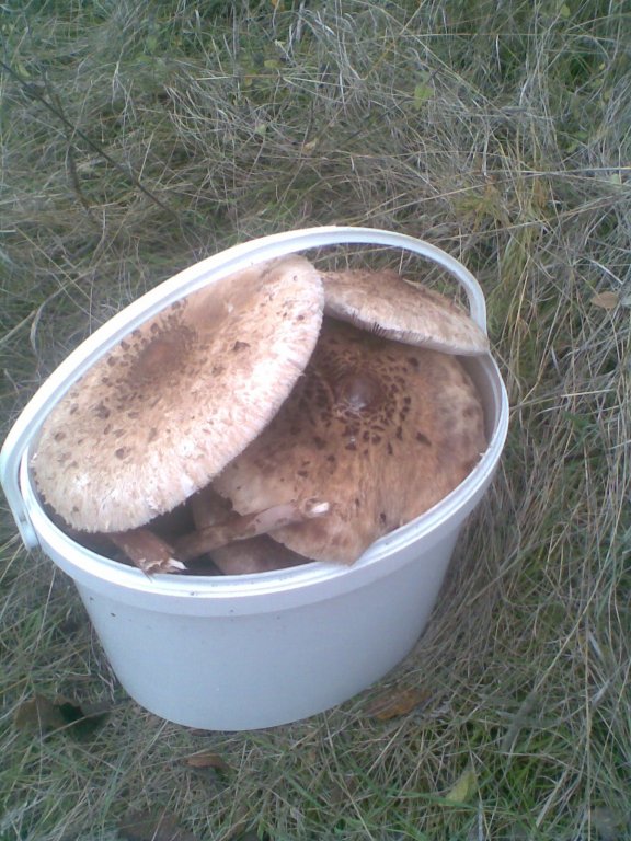 Натиснете снимката за да я уголемите

Име:Image043.jpg
Прегледи:2
Размер:110.4 КБ
ID:5218610