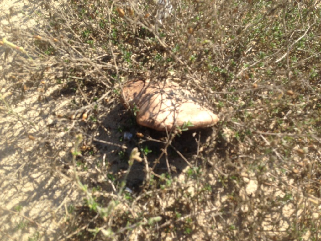 Натиснете снимката за да я уголемите

Име:image4.jpg
Прегледи:1
Размер:187.2 КБ
ID:5616417