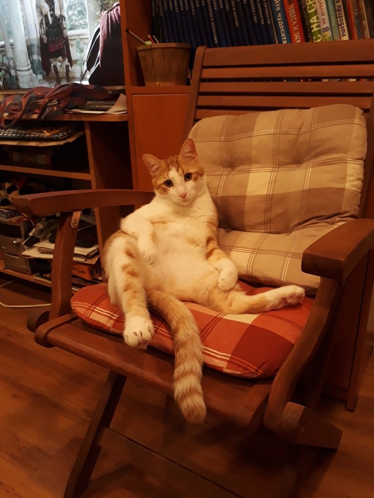 Натиснете снимката за да я уголемите

Име:20191126_223311.jpg
Прегледи:363
Размер:117.6 КБ
ID:6531636