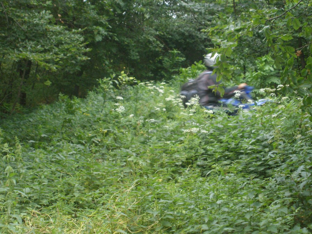 Натиснете снимката за да я уголемите

Име:P6240023.jpg
Прегледи:2
Размер:206.7 КБ
ID:5386518