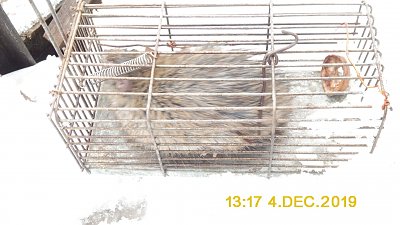 Натиснете снимката за да я уголемите

Име:P1150143.JPG
Прегледи:2137
Размер:282.4 КБ
ID:6532922