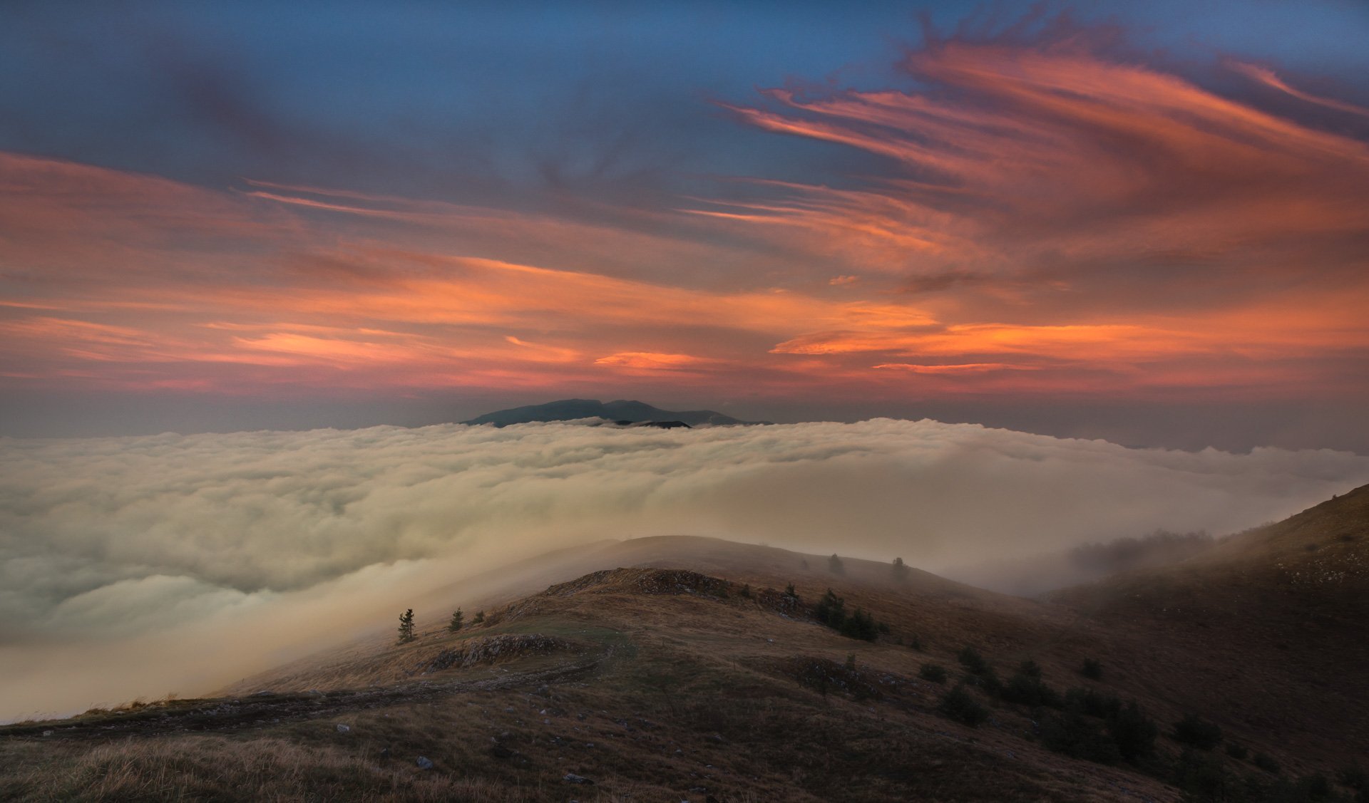 Натиснете снимката за да я уголемите

Име:1K9A0499-1.jpg
Прегледи:125
Размер:197.3 КБ
ID:6533184