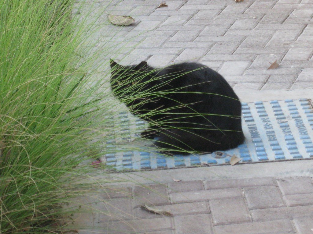 Натиснете снимката за да я уголемите

Име:IMG_8729 (Medium).JPG
Прегледи:151
Размер:179.7 КБ
ID:6533565