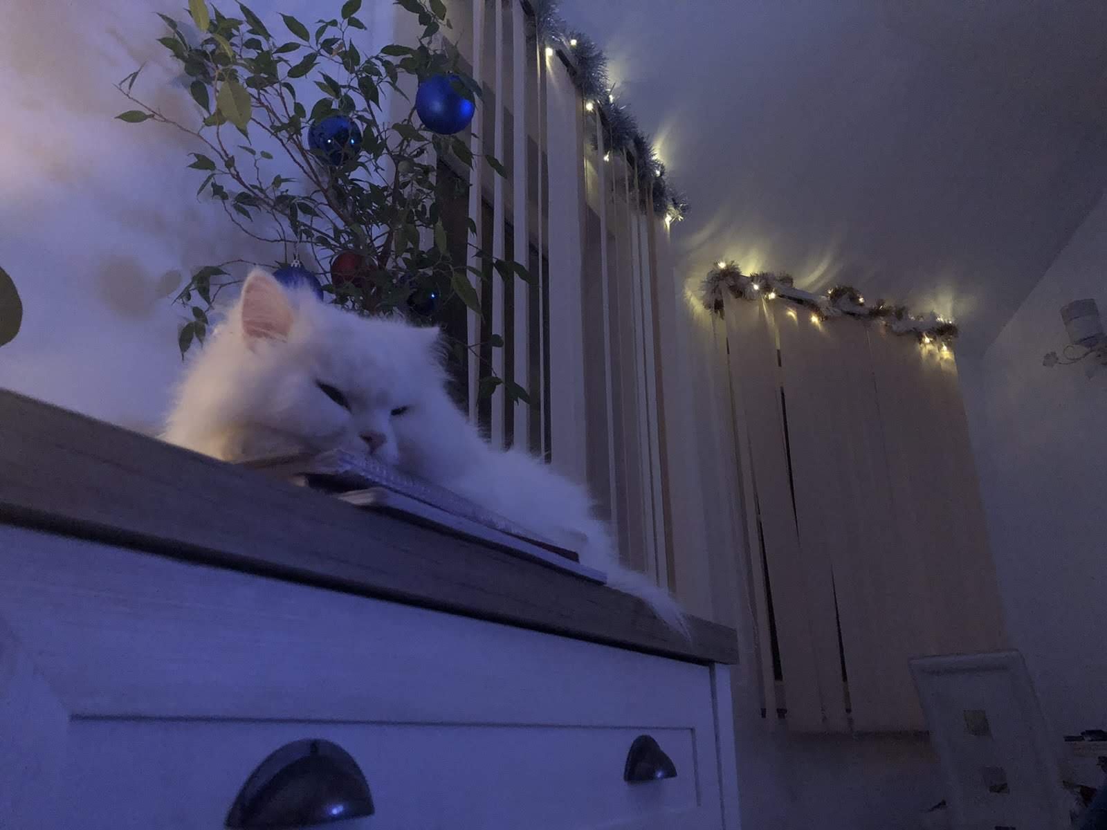 Натиснете снимката за да я уголемите

Име:IMG-0993b33b784293438e2ad02e4acdf749-V.jpg
Прегледи:227
Размер:147.4 КБ
ID:6533600