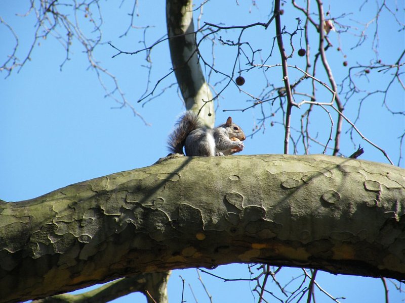 Натиснете снимката за да я уголемите

Име:7.jpg
Прегледи:1
Размер:138.1 КБ
ID:5273358