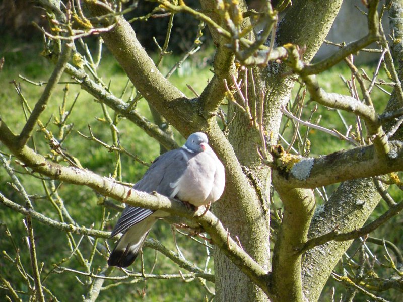 Натиснете снимката за да я уголемите

Име:2.jpg
Прегледи:1
Размер:208.9 КБ
ID:5273359