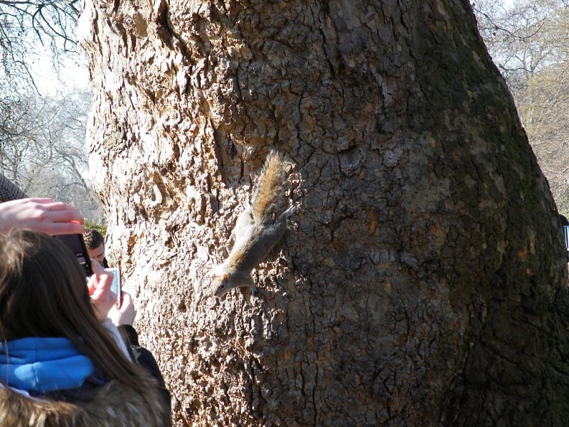 Натиснете снимката за да я уголемите

Име:6.jpg
Прегледи:1
Размер:227.9 КБ
ID:5273360