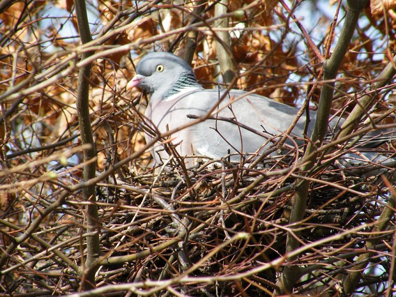 Натиснете снимката за да я уголемите

Име:3.jpg
Прегледи:1
Размер:238.5 КБ
ID:5273363
