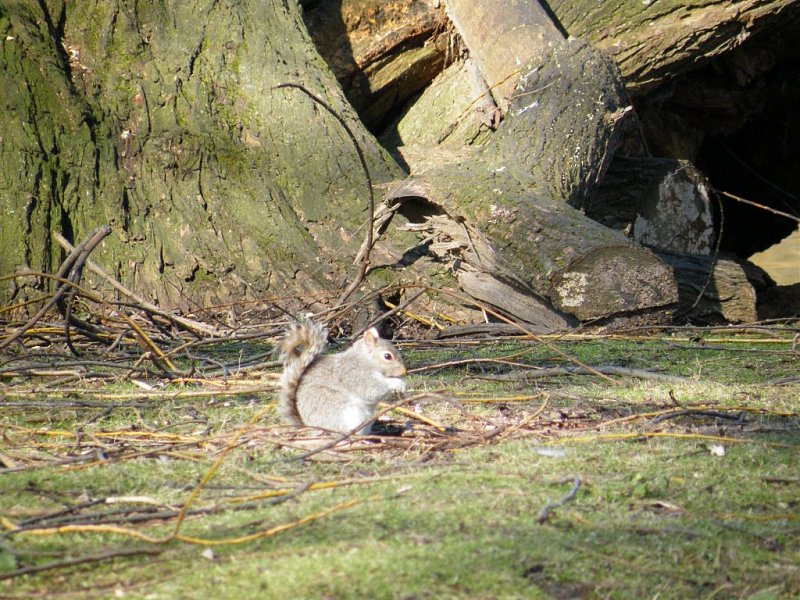 Натиснете снимката за да я уголемите

Име:5.jpg
Прегледи:1
Размер:226.8 КБ
ID:5273365