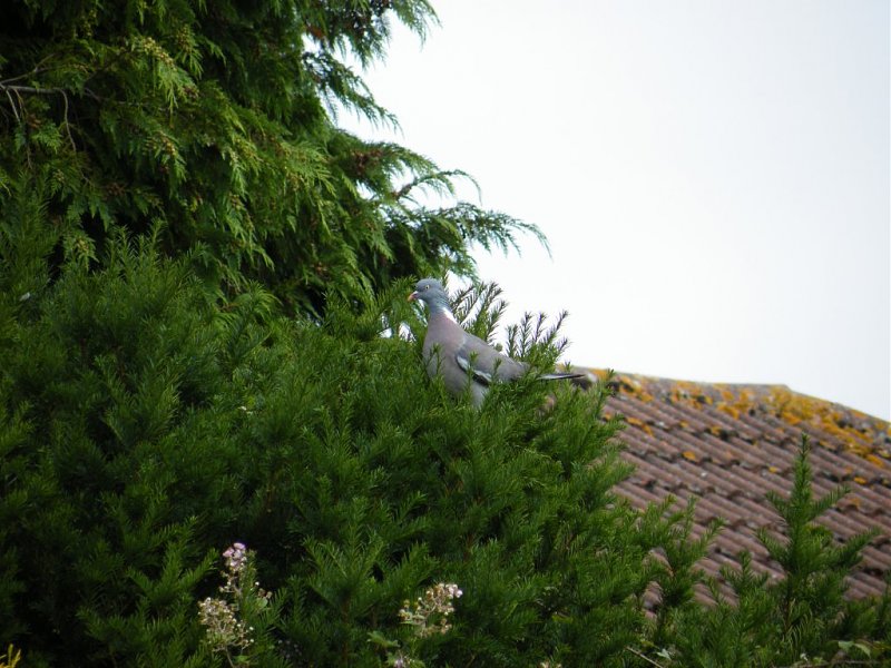 Натиснете снимката за да я уголемите

Име:1.jpg
Прегледи:1
Размер:145.1 КБ
ID:5273366