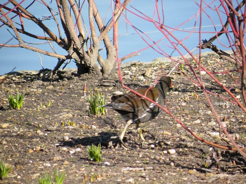 Натиснете снимката за да я уголемите

Име:4.jpg
Прегледи:1
Размер:230.6 КБ
ID:5273368