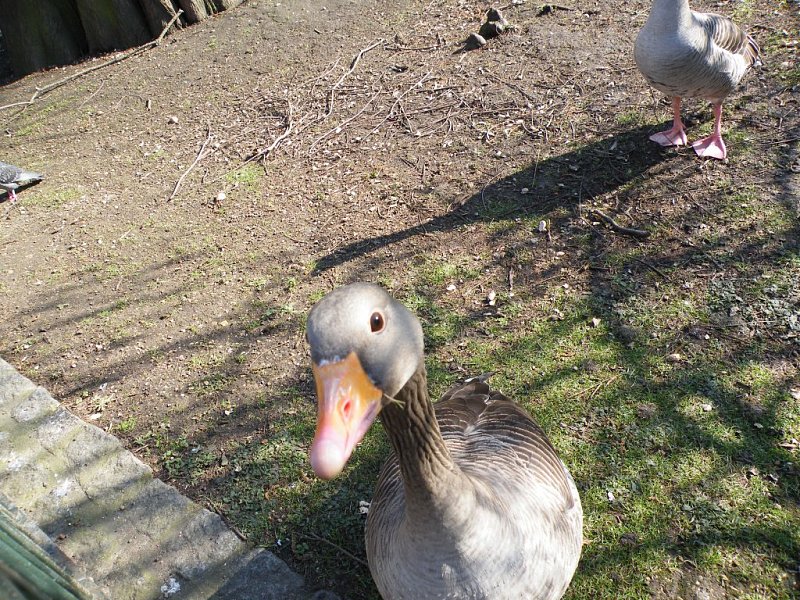 Натиснете снимката за да я уголемите

Име:10.jpg
Прегледи:1
Размер:339.4 КБ
ID:5273369