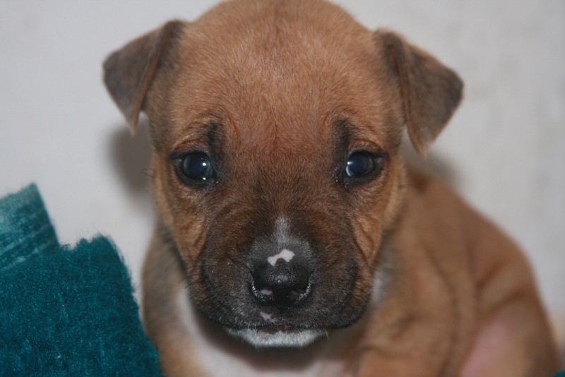 Натиснете снимката за да я уголемите

Име:IMG_1363.jpg
Прегледи:1
Размер:84.0 КБ
ID:5273570