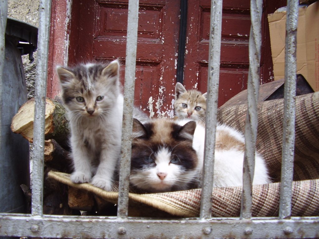 Натиснете снимката за да я уголемите

Име:P3150040.jpg
Прегледи:1
Размер:166.7 КБ
ID:5274330