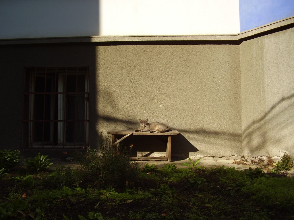 Натиснете снимката за да я уголемите

Име:PA300001.jpg
Прегледи:1
Размер:146.3 КБ
ID:5274336