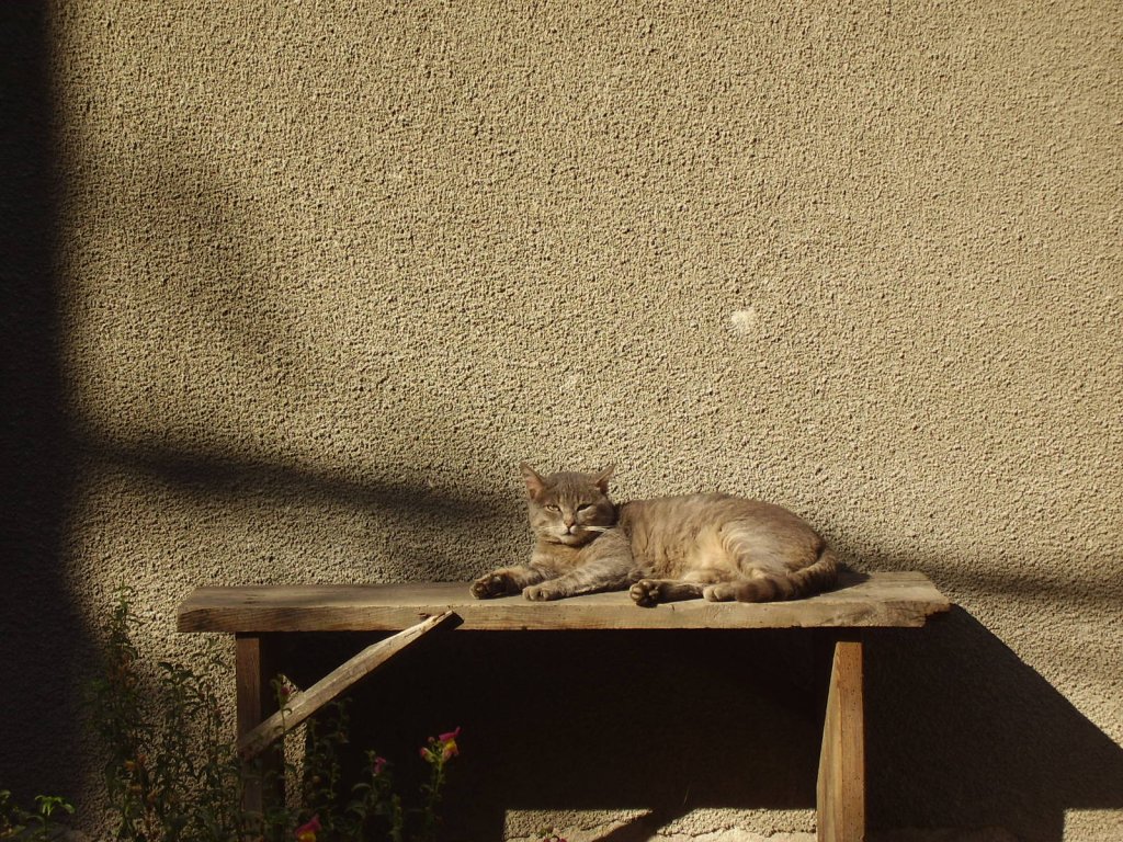 Натиснете снимката за да я уголемите

Име:PA300002.jpg
Прегледи:1
Размер:282.1 КБ
ID:5274345