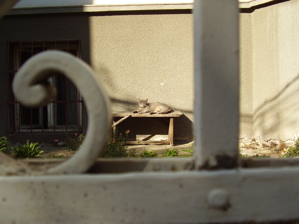 Натиснете снимката за да я уголемите

Име:PA300003.jpg
Прегледи:1
Размер:124.2 КБ
ID:5274346