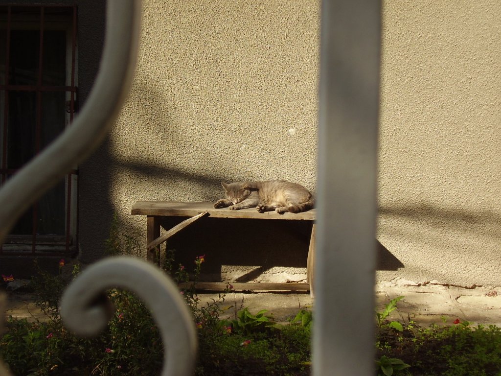 Натиснете снимката за да я уголемите

Име:PA300004.jpg
Прегледи:1
Размер:195.7 КБ
ID:5274356