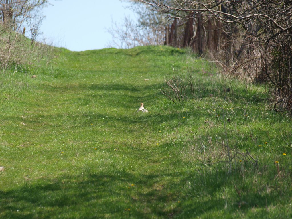 Натиснете снимката за да я уголемите

Име:P4172894.jpg
Прегледи:1
Размер:196.1 КБ
ID:5274587