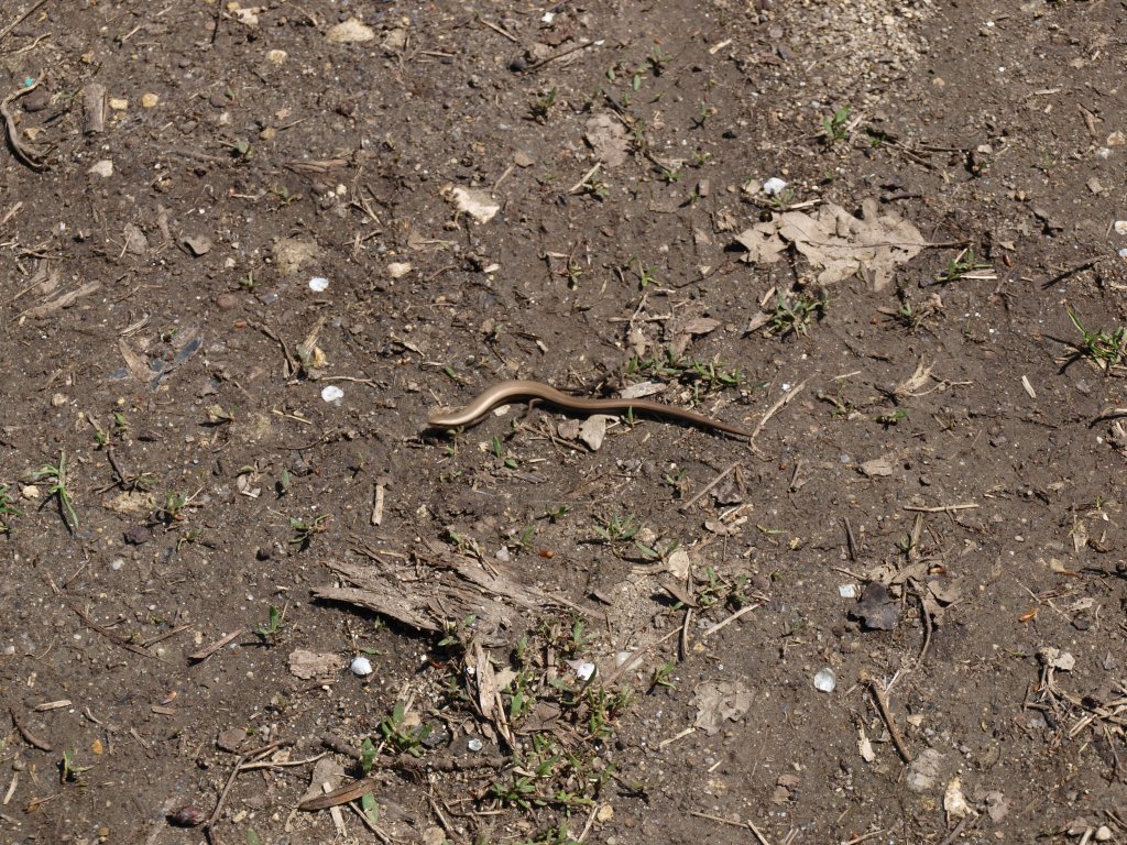 Натиснете снимката за да я уголемите

Име:P4172917.jpg
Прегледи:1
Размер:309.1 КБ
ID:5274588