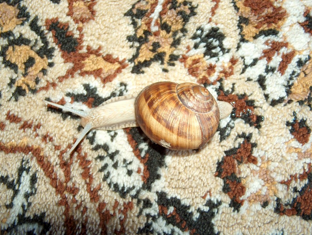 Натиснете снимката за да я уголемите

Име:Ohluv 001.jpg
Прегледи:1
Размер:222.0 КБ
ID:5274590