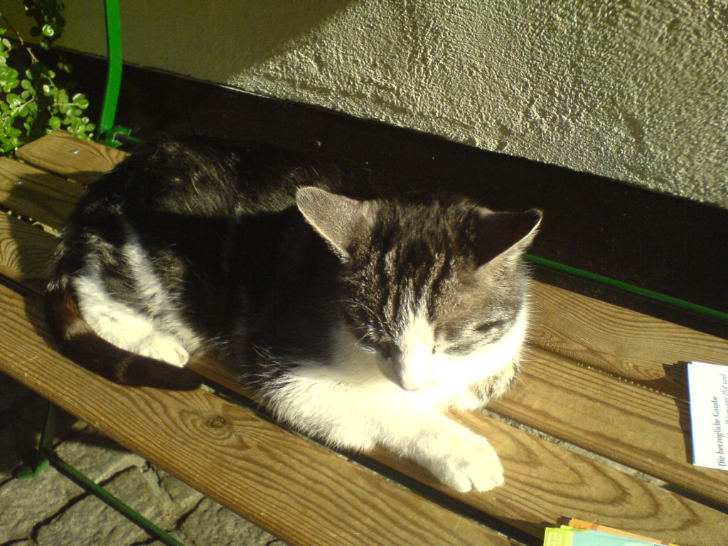 Натиснете снимката за да я уголемите

Име:DSC00087.jpg
Прегледи:1
Размер:173.8 КБ
ID:5274594