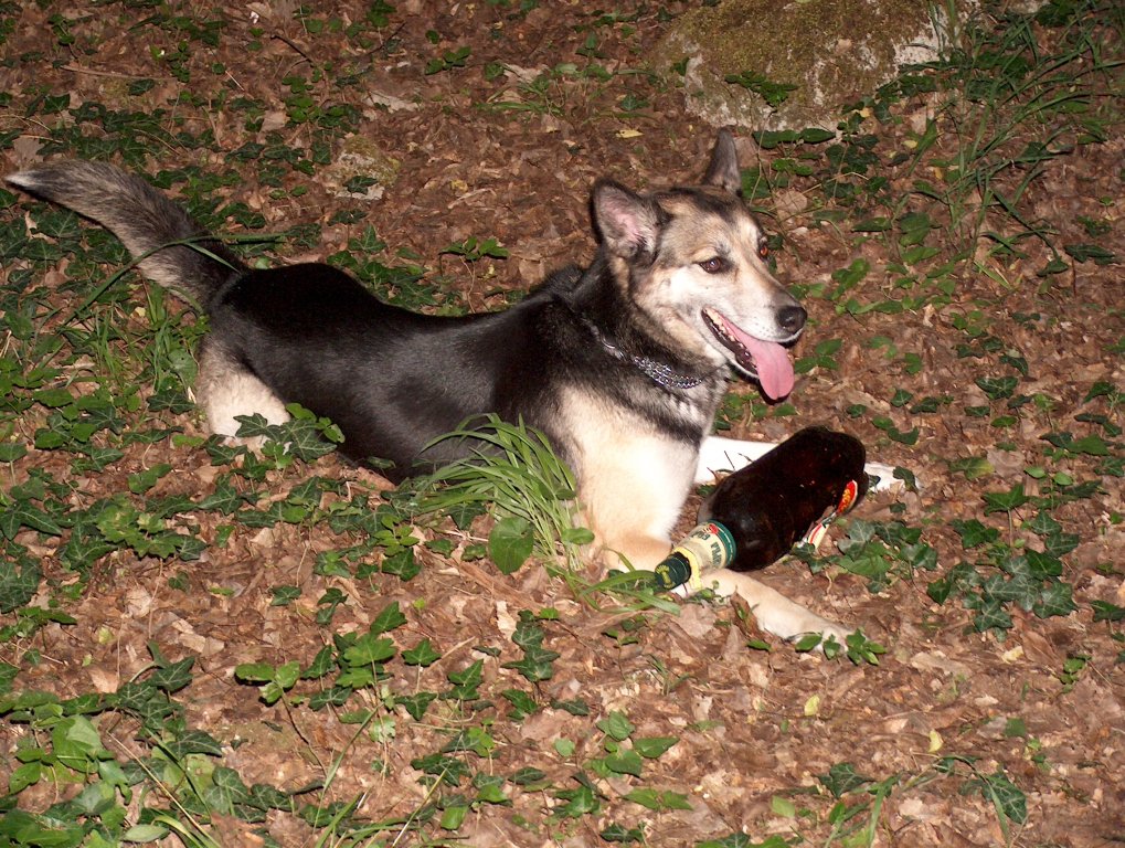 Натиснете снимката за да я уголемите

Име:HPIM4462.jpg
Прегледи:1
Размер:268.7 КБ
ID:5274615