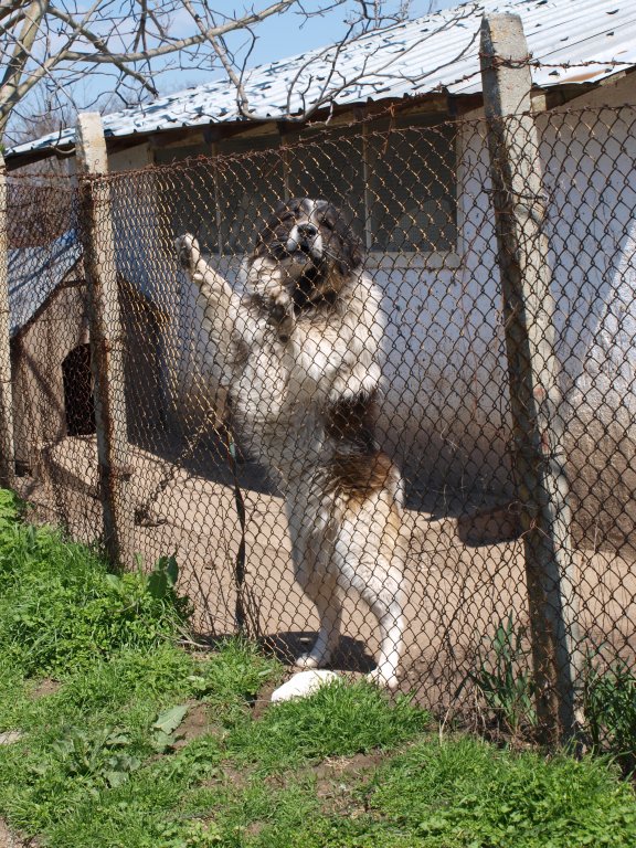 Натиснете снимката за да я уголемите

Име:P4172906.jpg
Прегледи:1
Размер:192.3 КБ
ID:5274631