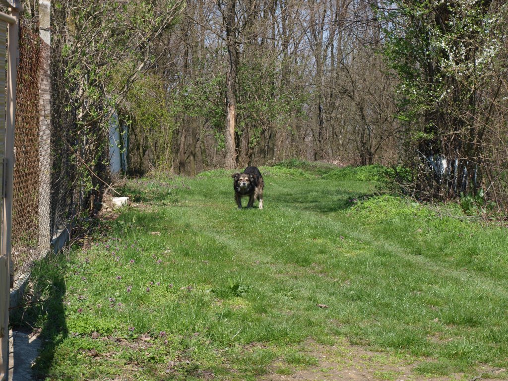 Натиснете снимката за да я уголемите

Име:P4172909.jpg
Прегледи:1
Размер:324.8 КБ
ID:5274632