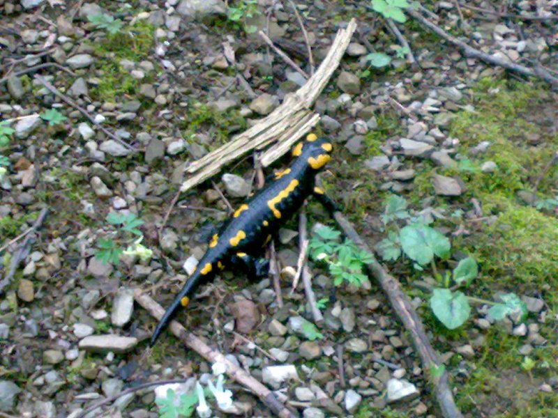 Натиснете снимката за да я уголемите

Име:31032011068.jpg
Прегледи:1
Размер:192.1 КБ
ID:5295991