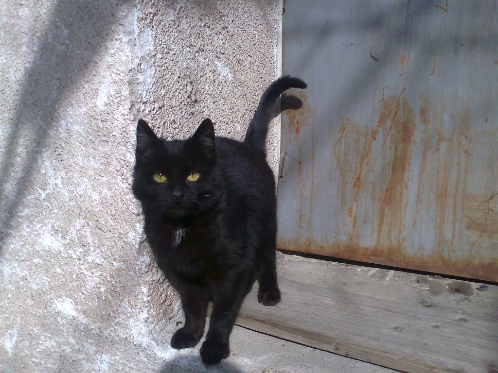 Натиснете снимката за да я уголемите

Име:Снимка3103.jpg
Прегледи:2
Размер:184.3 КБ
ID:5350506