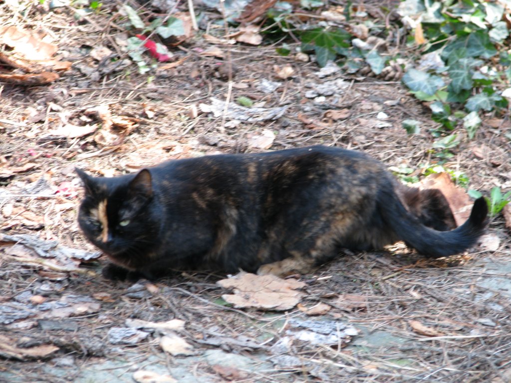 Натиснете снимката за да я уголемите

Име:002.jpg
Прегледи:1
Размер:204.1 КБ
ID:5359849